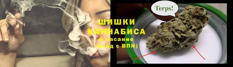 закладки  Кинешма  сайты даркнета формула  Бошки марихуана план 